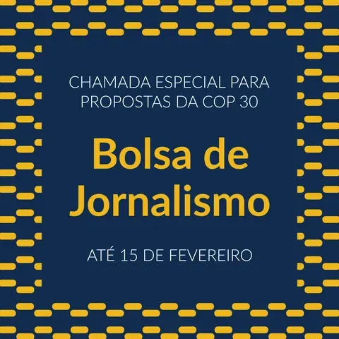 bolsa de jornalismo